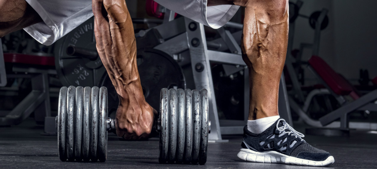 Science For Humans #1823: The Secret To Huge Forearms and Calves