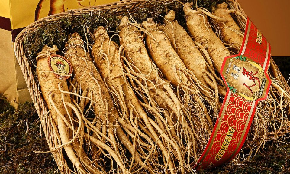 Science For Humans #1835: Ginseng Reviewed