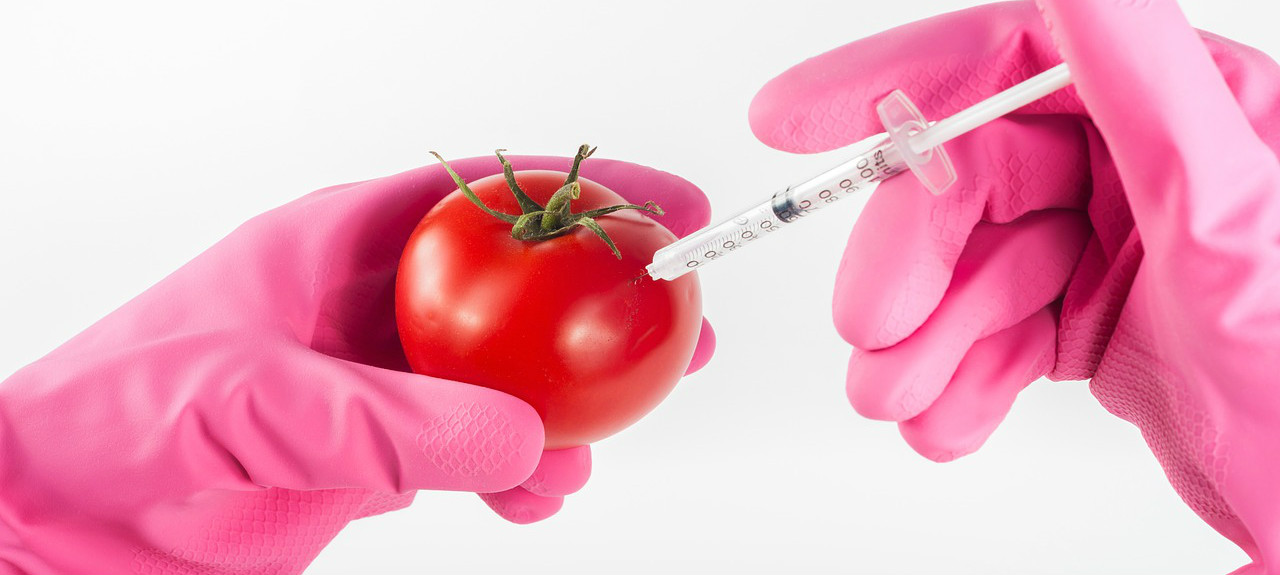 Science For Humans #1688: Genetically Modified Foods 101